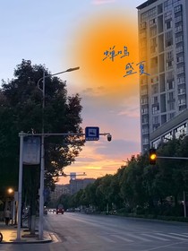 与你蝉鸣盛夏