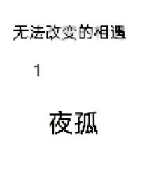 無(wú)法改變的相遇—1—夜孤