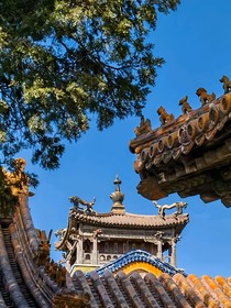 华悲