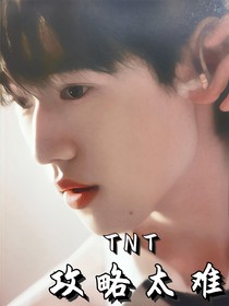 TNT：攻略太难