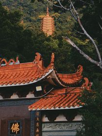 虛無(wú)夢(mèng)境