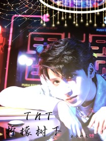 TNT：柠檬树下