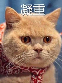 尋儀故事廳