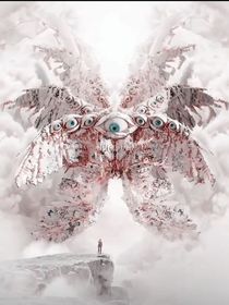变形金刚：神的羽翼