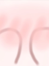 名柯猫猫养殖日常
