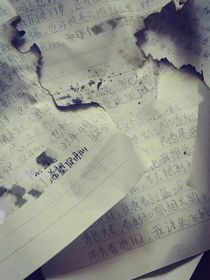 桑葚樹上的蟬鳴