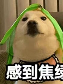 你指尖冬夏
