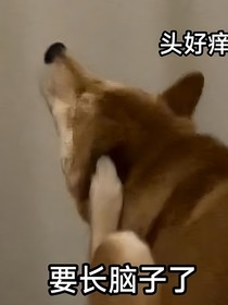 腦子一熱寫的