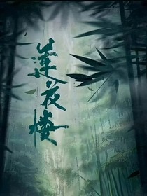 莲花楼（第二部）自编