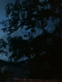 記一次夢(mèng)境之旅