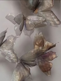 悸动回忆录