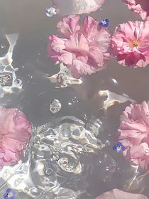 盛夏的方程式