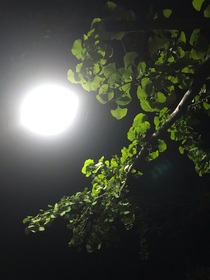 凌晨的误会