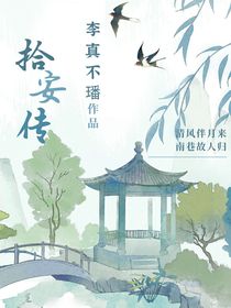 拾安传
