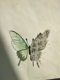 藏不住的小心翼翼