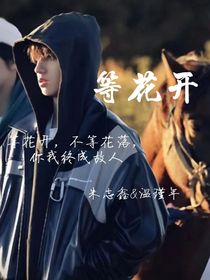 朱志鑫：等花开