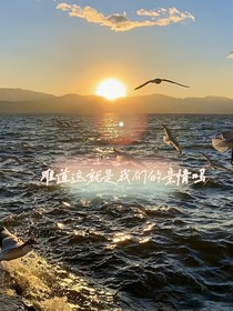 难道这就是我们的亲情吗