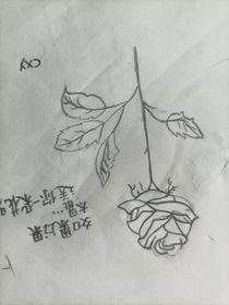 席梦想