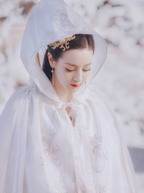 综影视之容蕴
