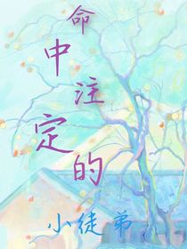命中注定的小徒弟-d070