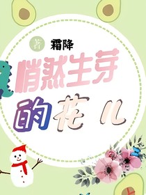 悄然盛开的花儿