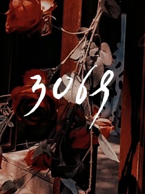 3069……