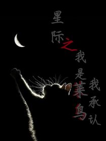 星际之我是菜鸟我承认