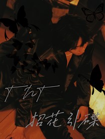TNT：招花引碟