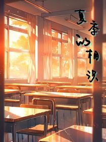 夏季的相识