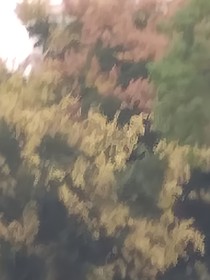 祈七年至