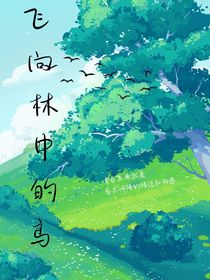 飞向林中的鸟