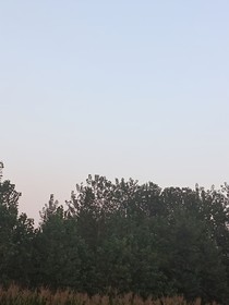 盛京令