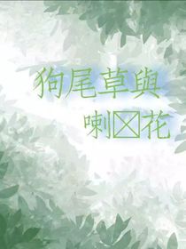 狗尾草……