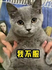 解世界難題