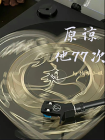 原諒他77次