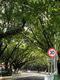 秋叶落书