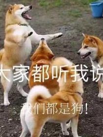 我的永生日常