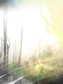 无从