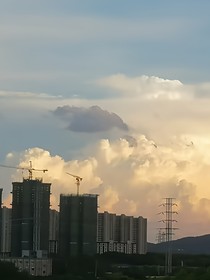 羽翳