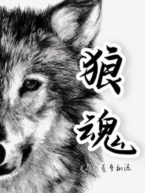 狡影：狼魂