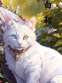 白猫圣女