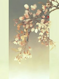 南湘