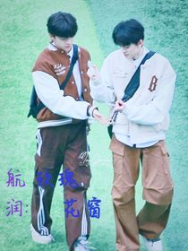 航润：玫瑰花窗-d797