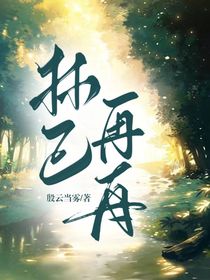 林已再舟