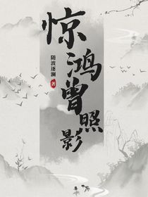 惊鸿曾照影