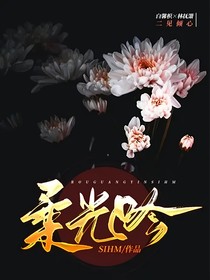 柔光吟