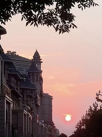 夏兮