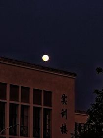 月色已如玉