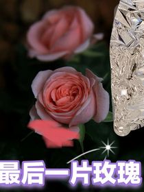 最后一片玫瑰