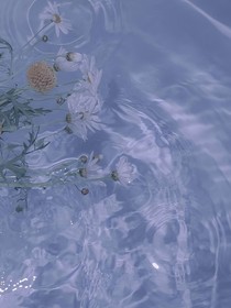 他的镜花水月